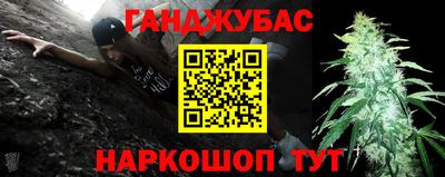гидра Шахты
