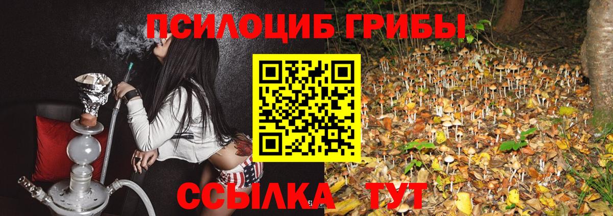 Галлюциногенные грибы ЛСД Артём